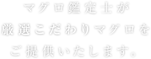 マグロ鑑定士が厳選こだわりマグロをご提供いたします。