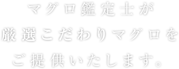 マグロ鑑定士が厳選こだわりマグロをご提供いたします。